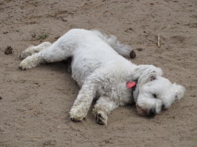 XXXII Zlot Krótkofalowców XXXII Zlot Krótkofalowców